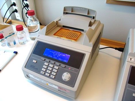 GeneAmp PCR System