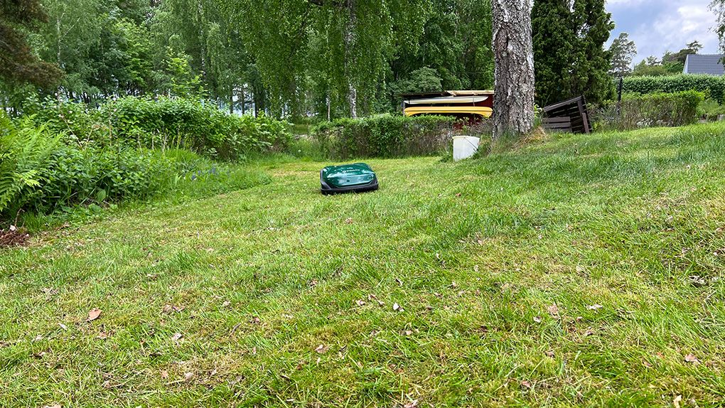 Robomow RK1000 klipper på gräsmatta.