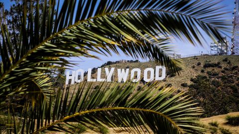 Hollywood-skylten bakom några palmblad