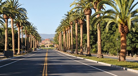 Palm Drive, mot Stanford University