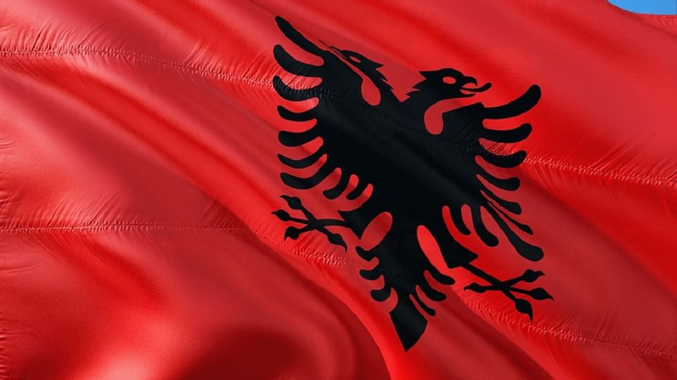albania albanien flagga flag